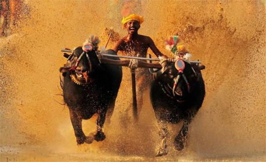 Kambala 